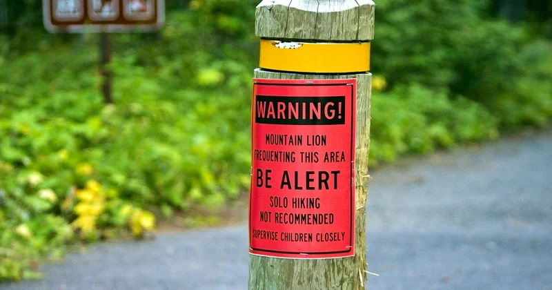 Safety considerations and when to stop