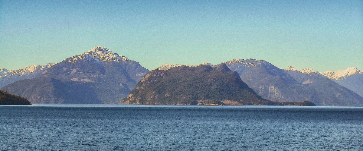 Step Three: Strategic Shielding (Where It Actually Matters)